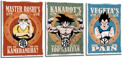 Cuadro Dragon Ball Gym Vegeta Kakarot Roshi Posters