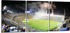 Cuadro Boca Juniors Bombonera Fuegos Nocturno