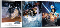 Cuadro Star Wars Posters