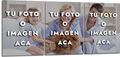 Cuadro personalizado con tu foto o diseño