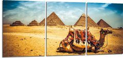 Cuadro Camello Piramides Egipto