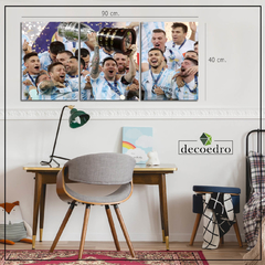 Cuadro Argentina Messi Campeon Copa America - comprar online