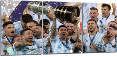 Cuadro Argentina Messi Campeon Copa America
