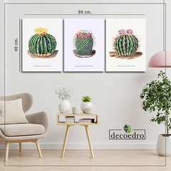 Cuadro Cactus Planta Naturaleza - comprar online