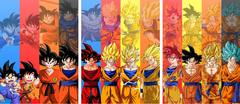 Cuadro Dragon Ball Goku evolucion en internet