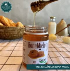 MEL ORGÂNICO BONAMIELO 500g