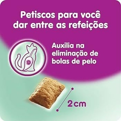 WHISKAS PETISCO ANTI BOLA PELO 40G na internet