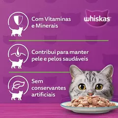 WHISKAS SACHÊ SABOR SALMÃO 1+ 85G - comprar online