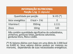 Vitamina C com Zinco - 60 caps na internet