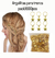 ARGOLLITAS PARA TRENZA ESTRELLA PACKX600PCS