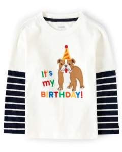 Camiseta Manga Longa "It's my Birthday" GYMBOREE - Toddler Boy (2 a 7 Anos) na internet