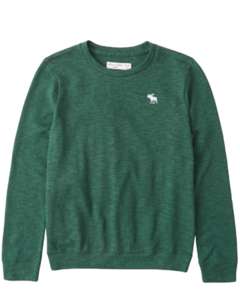 Suéter Verde ABERCROMBIE - Toddler Boy (2 a 7 Anos)