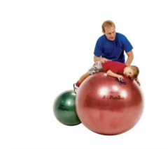 Pelota Esferodinamia Motricidad Terapia Psicomotricidad 65cm