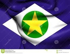 Bandeira do Mato Grosso - comprar online
