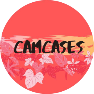 Camcases