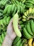 Banana Abby Vibrador e Sugador de Clitóris - comprar online