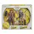 BRINQUEDO HASBRO X-MEN LOGAN HAWKEYE - comprar online