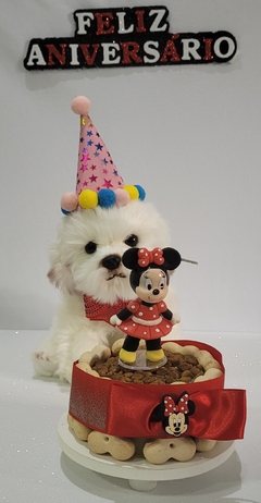 Kit Minnie Vermelha | Festa de Aniversário para Pet