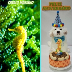 Kit Cavalo Marinho | Festa de Aniversário para Pet - comprar online