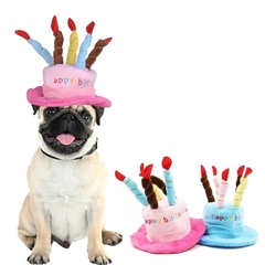 Kit Rei Leão 2| Festa de Aniversário para Pet - comprar online