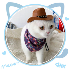 Novo Chapéu Cowboy com Estrela na internet