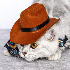 Novo Chapéu Cowboy para Pet com Fita preta (Gatos ou Cachorros)