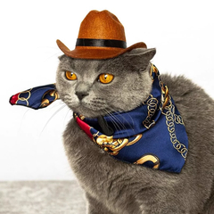 Novo Chapéu Cowboy para Pet com Fita preta (Gatos ou Cachorros) - comprar online