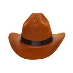 Novo Chapéu Cowboy para Pet com Fita preta (Gatos ou Cachorros) - Criativa Ponto de Negócios