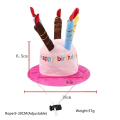 Chapéu Bolo de Aniversário com velinhas (Happy Birthday) | Acessório de Festa de aniversário Pets - comprar online