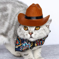 Novo Chapéu Cowboy para Pet com Fita preta (Gatos ou Cachorros)