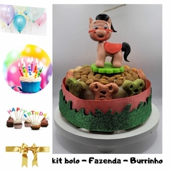 Kit Bolo de Aniversário Pet | Fazenda Burrinho| 3 itens com 2 brindes (nr 1) - comprar online