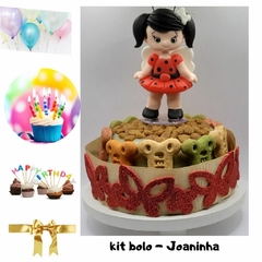 Kit 01 Bolo de Aniversário Pet | Joaninha | 3 itens e 2 brindes (Nr 3) - loja online