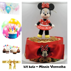 Kit Bolo de Aniversário Pet | Minnie Rosa|3 itens + 2 brindes (Nr. 52) - loja online