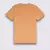 Imagem do CAMISETA CLASSIC PRINT BOX COPPER TAN