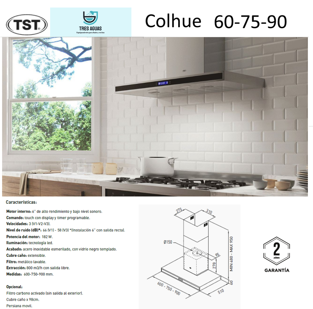 Campana Extractor Cocina TST Con/sin Salida Colhue 60 Cm