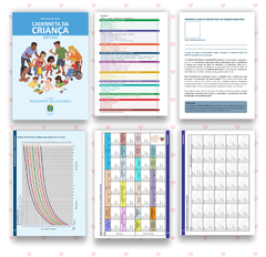 Caderneta de saúde carrinho - Encantos da Nanna - Papelaria Criativa