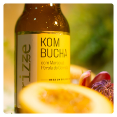 (Kit 6un) 3 Kombuchas Gengibre e Limão Siciliano + 3 Kombuchas Maracujá Pérola do Cerrado - Brizze Kombucha