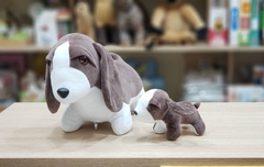 Beagle Grávida Com 1 Filhote