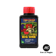 Top Big One 100ml. - comprar online