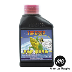 Top Auto 250ml.