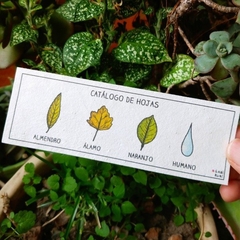 Señalador plantable - Catálogo de hojas