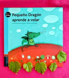 Pequeño dragón aprende a volar