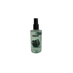 AROMATIZANTE DE AMBIENTE 250ML - SPORT - NOBRECAR - comprar online