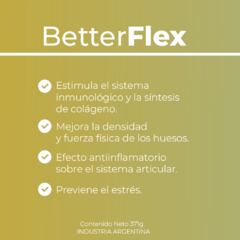 Suplemento Better Flex Colágeno Hidrolizado 371g X2 Potes - comprar online