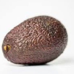 Palta