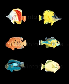 Mini Peces tropicales plastico Coleccion x 12 - tienda online