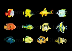 Mini Peces tropicales plastico Coleccion x 12