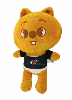 Peluches SKZOO Stray Kids 20cm en internet