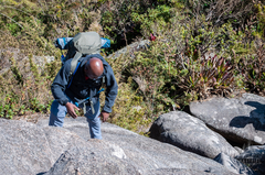 Pico dos Marins Especial. - comprar online