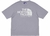 TSHIRT THE NORTH FACE PALACE LOGO BASIC